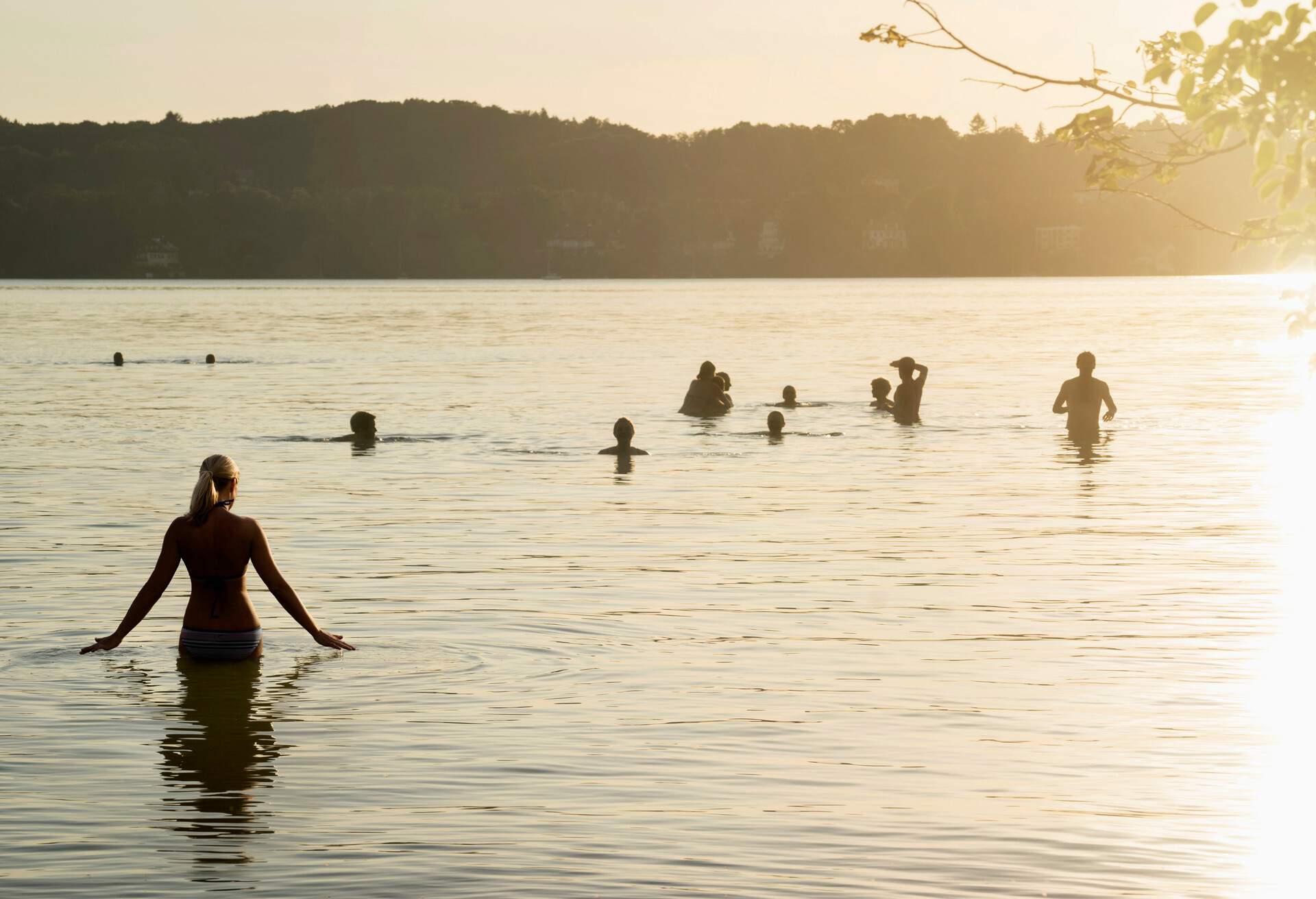 Silhouette of people swimming in a glistening lake.