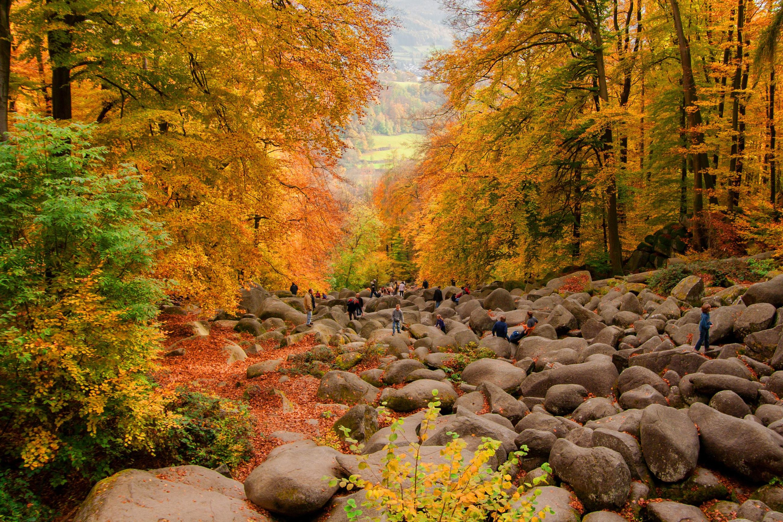 Tourists of various ages wander on a pile of boulders surrounded by lush tall trees in autumn.