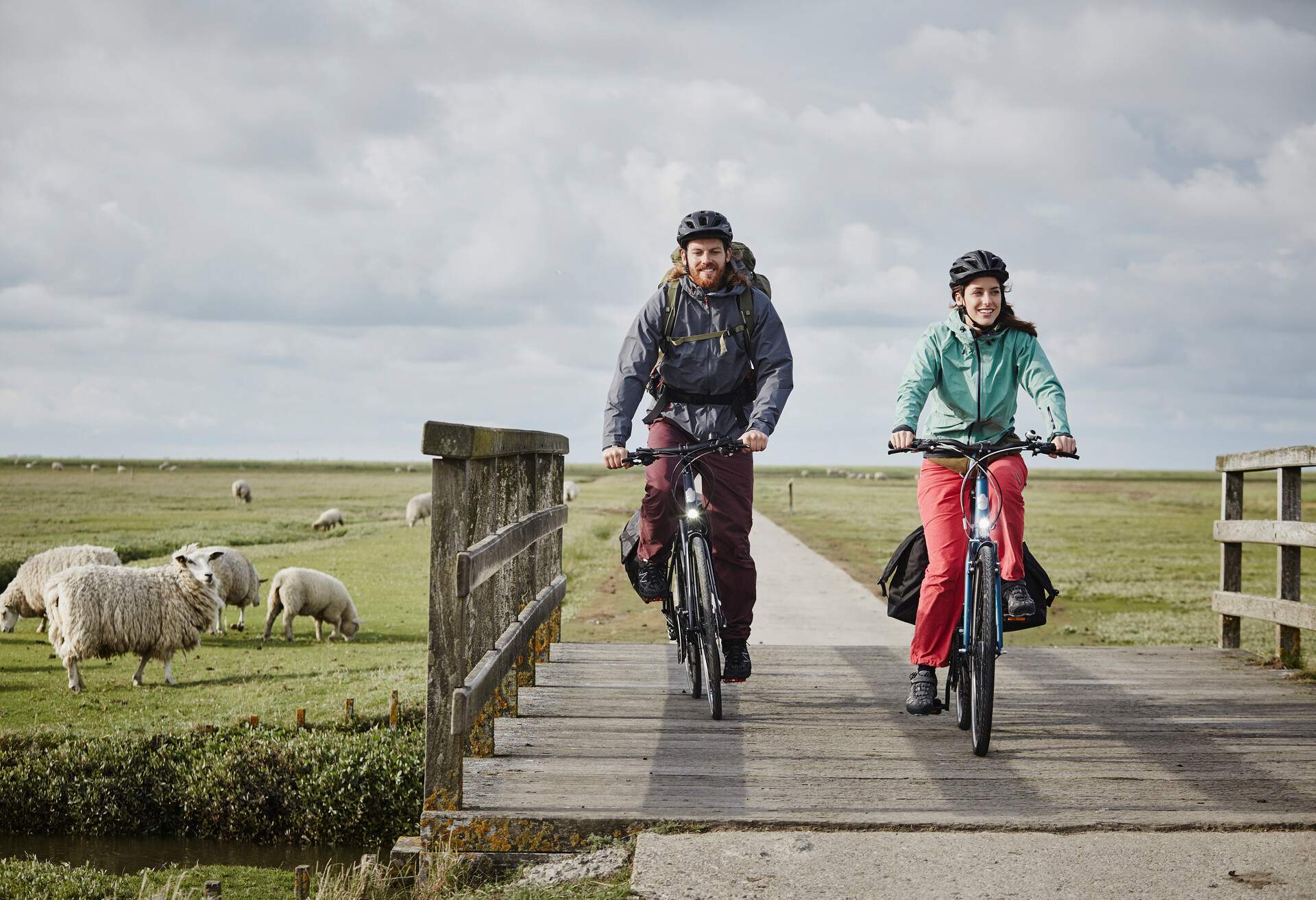 Two cyclists pass a wooden bridge beside a green pasture with grazing sheep.