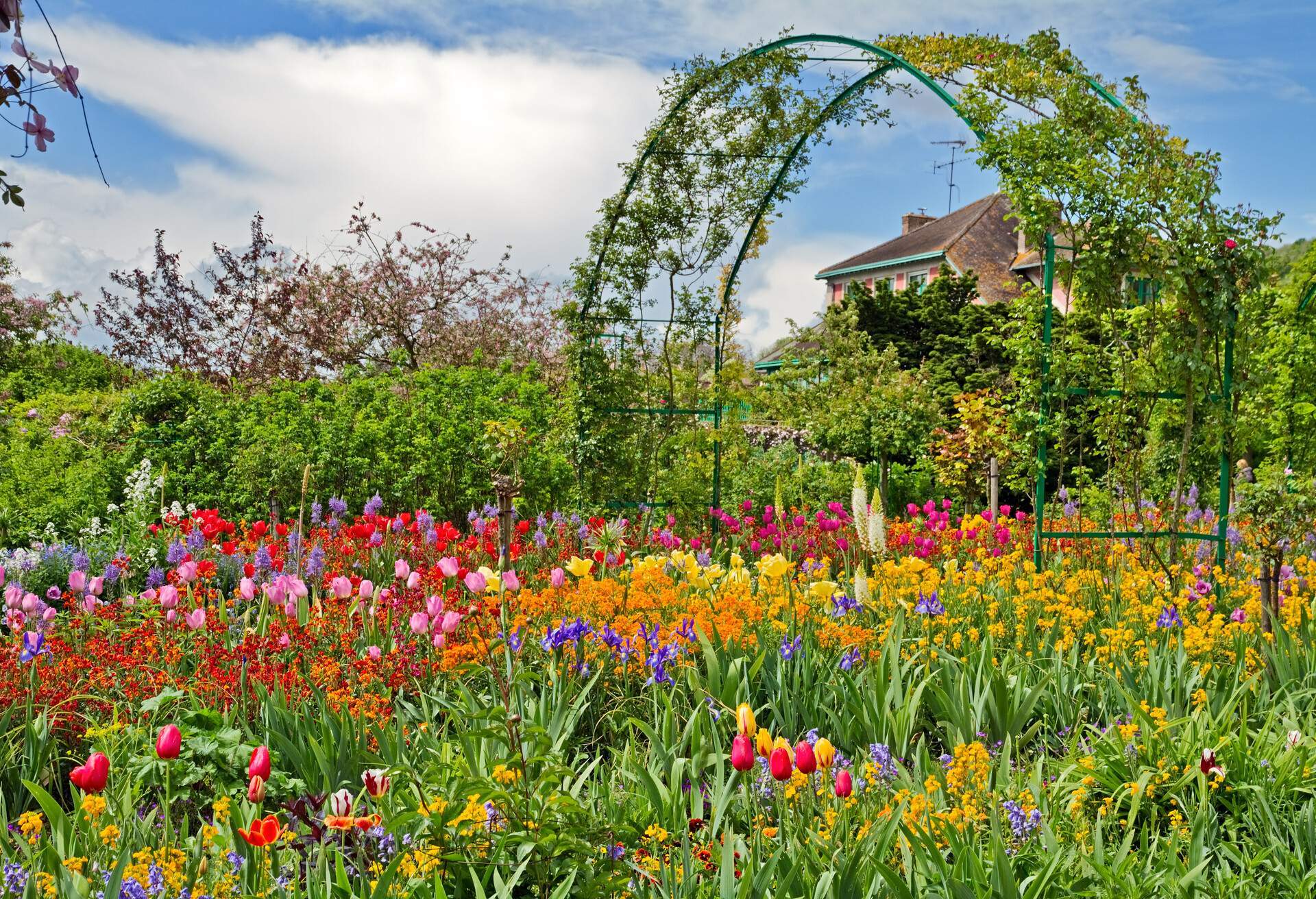 A garden with brightly coloured flowers and a trellis wrapped in vines.