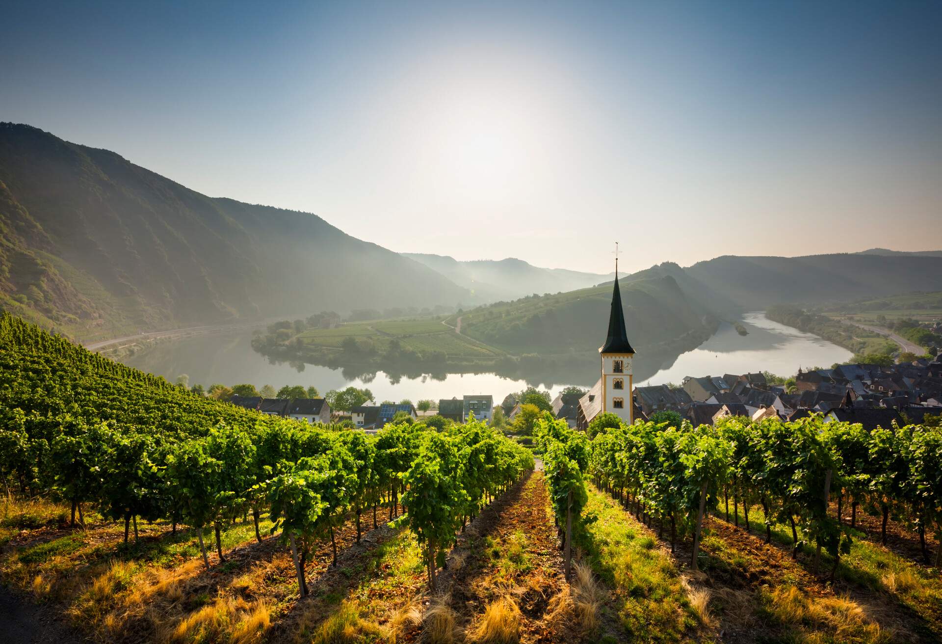 A church tower sticks out on the roof of houses, surrounded by a vineyard on a rolling hill overlooking a broad river at the base of the mountains.