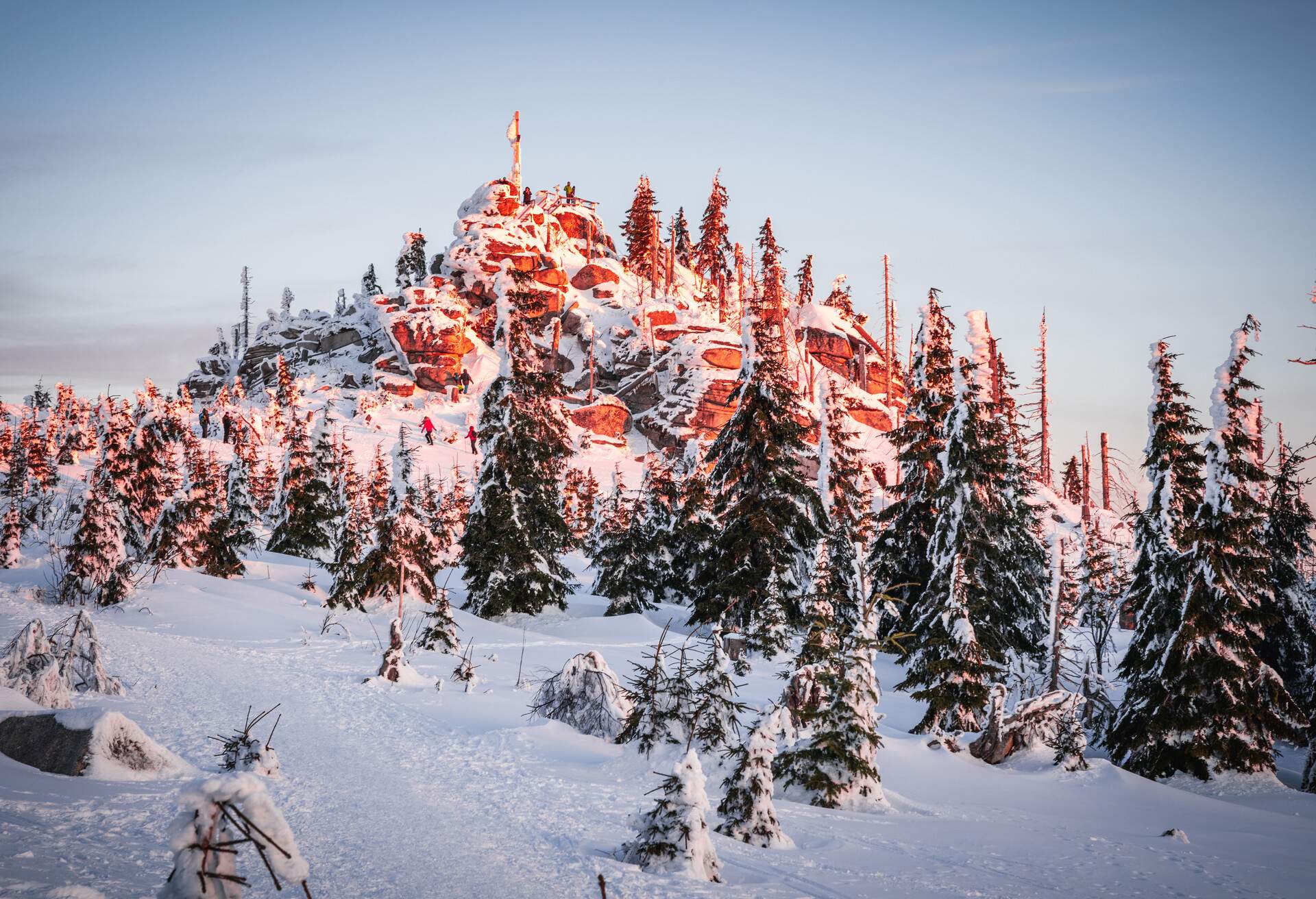 Snow-covered mountain dotted with trees.