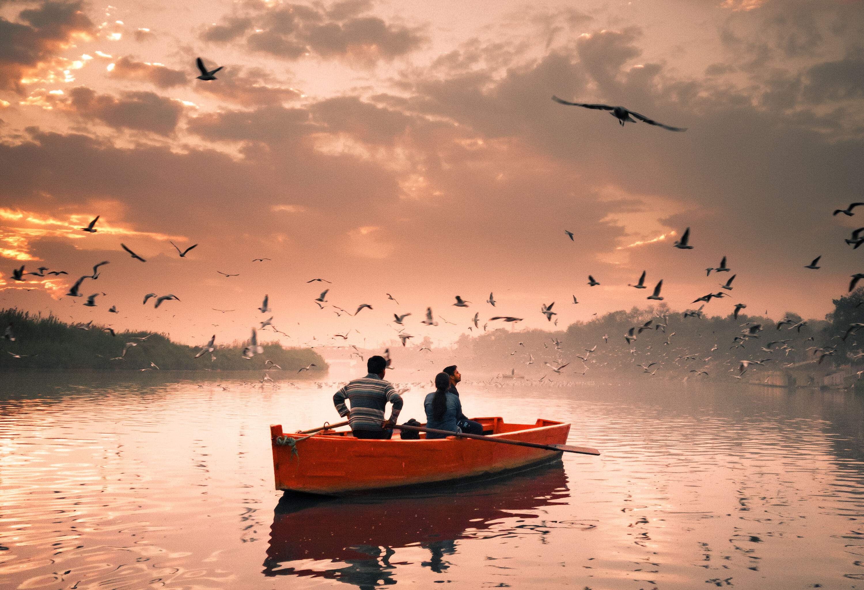 A couple enjoys a serene boat ride on the shimmering, clear water, surrounded by a graceful flock of birds flitting and floating around them.