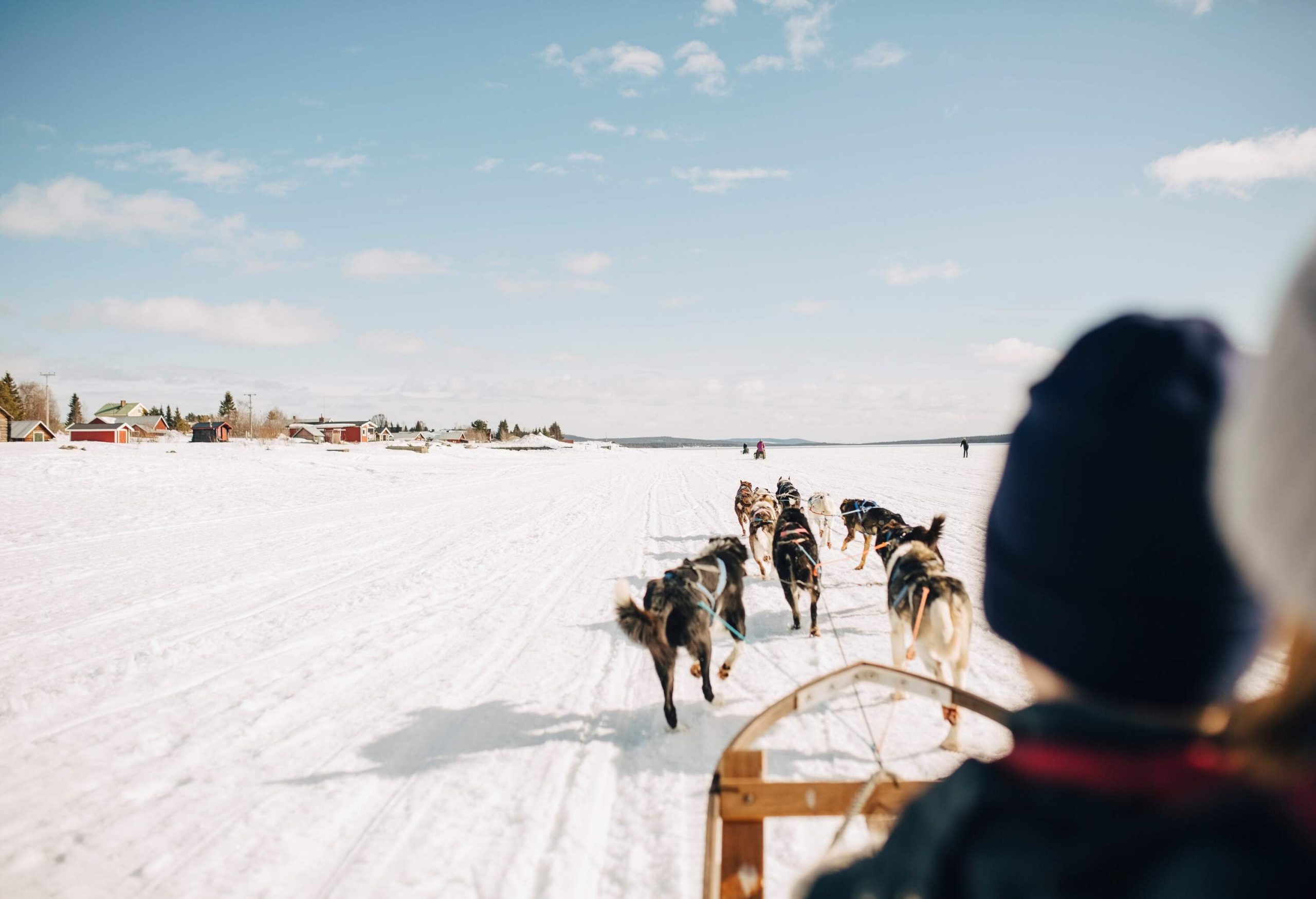 A team of dogs is dragging a sledge on snowy ground close to a settlement.