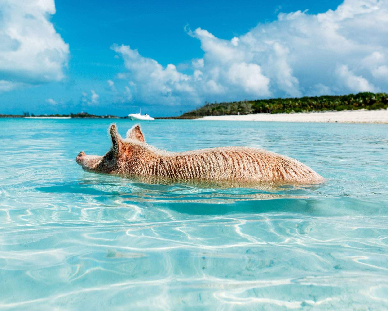 Wo ist es im Februar warm? 11 Reiseziele 2024 KAYAK