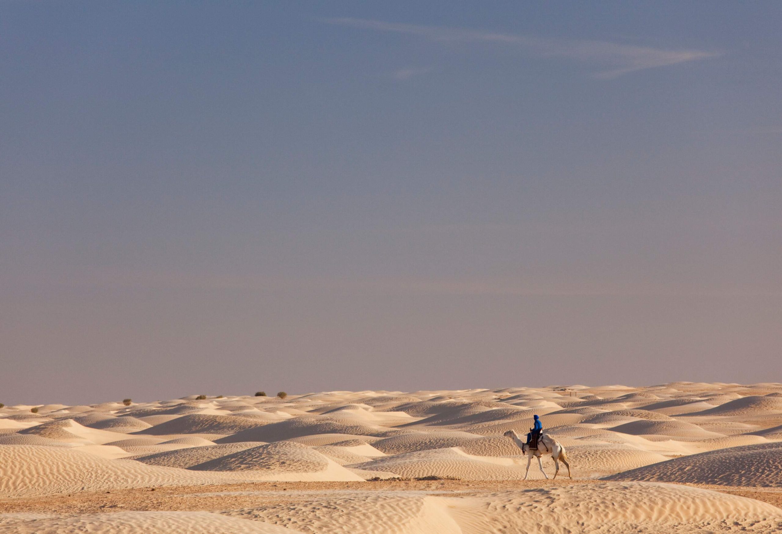 A person rides a camel as they traverse the sand dunes of a wide desert.