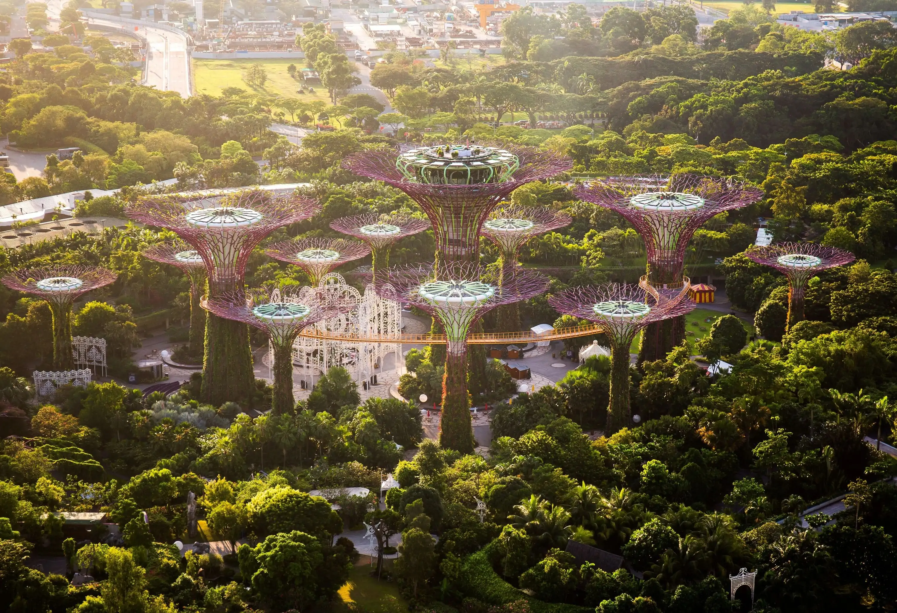 The Supertree Grove Trees in Gardens by the Bay, Singapore showcasing its unique plan and design.