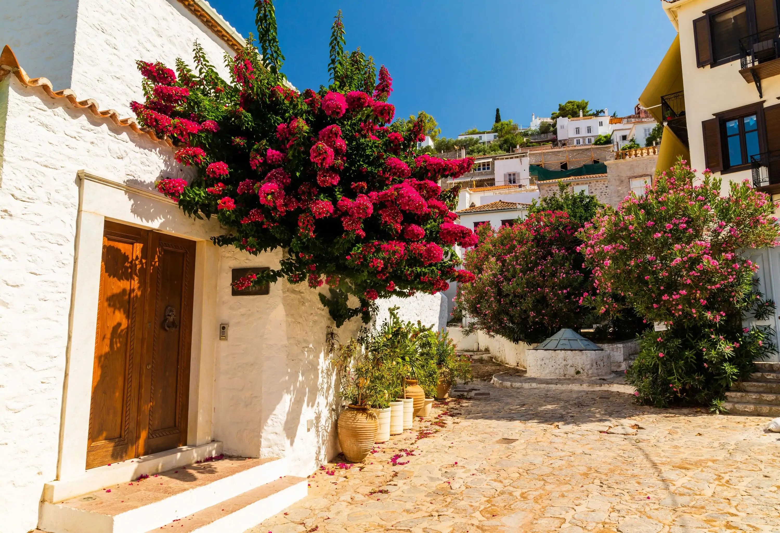 A cobbled alleyway in between traditional Greek houses ornamented with pink flowers.
