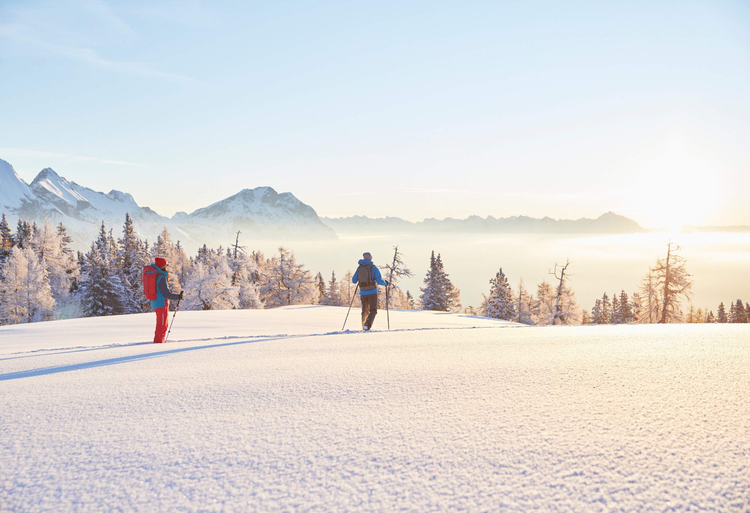 Two people with poles walking on a blanket of snow powder surrounded by frosted trees.