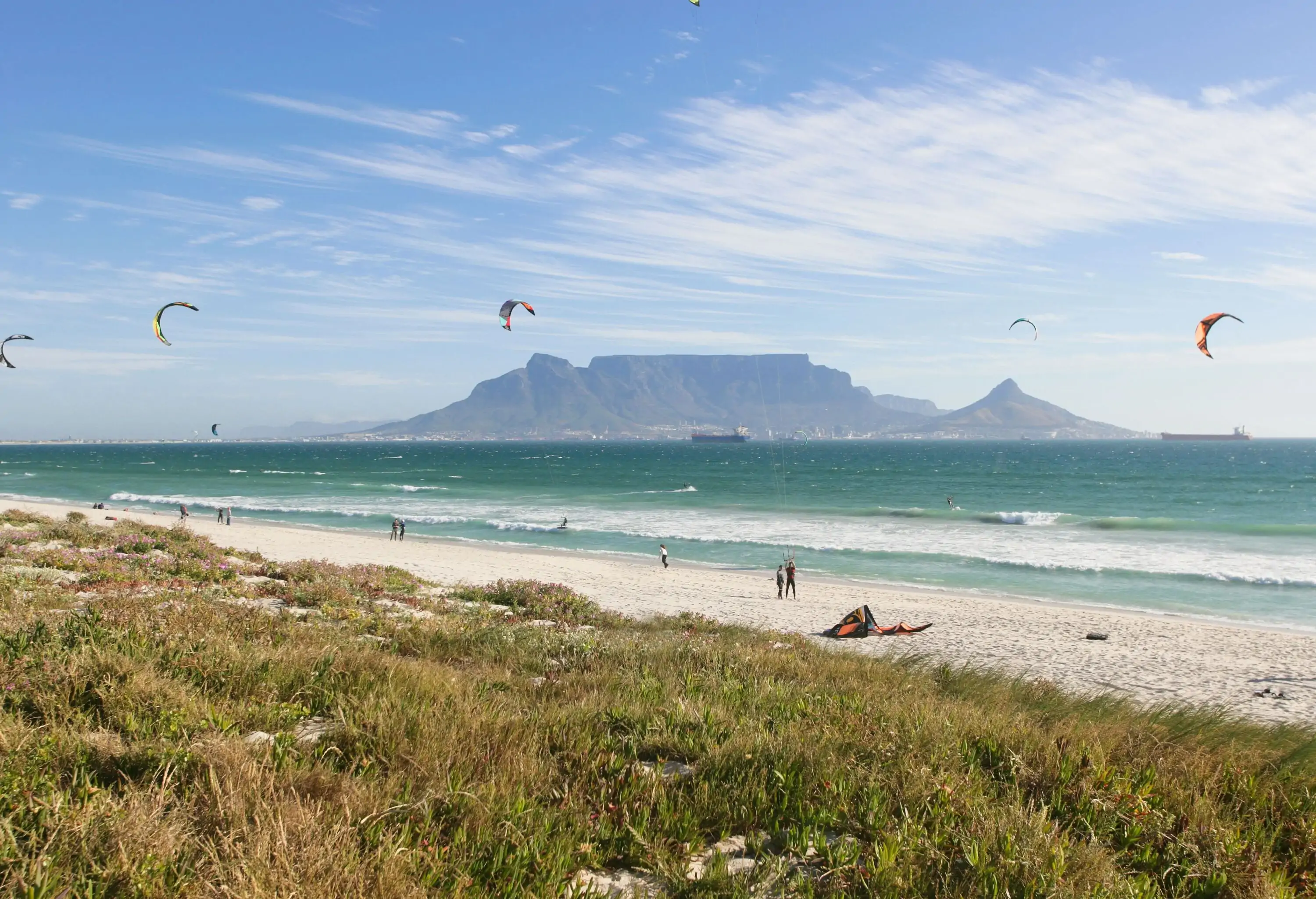 A grass field along a beach with kite surfers riding the rough waves.