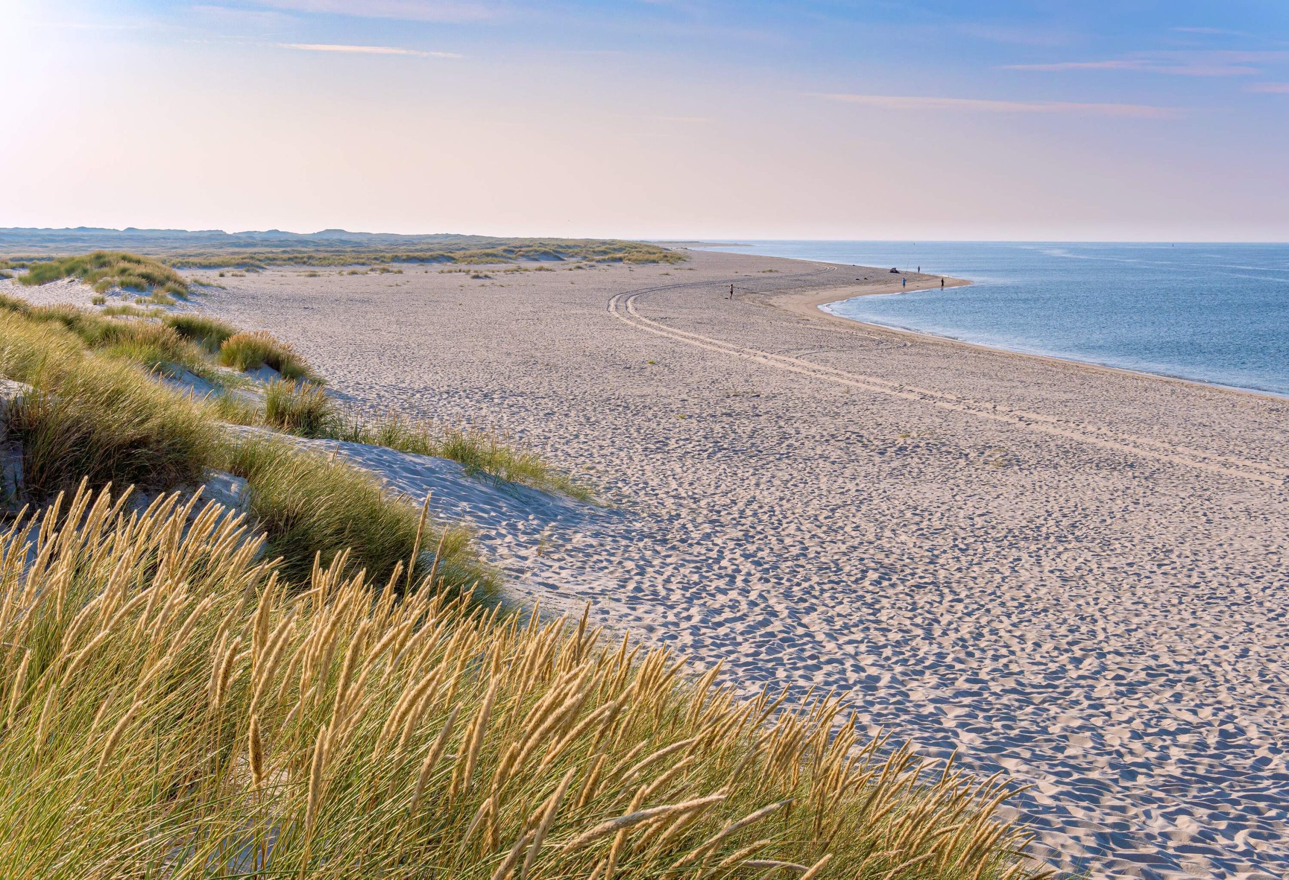 A sandy beach with tyre tracks running through it.