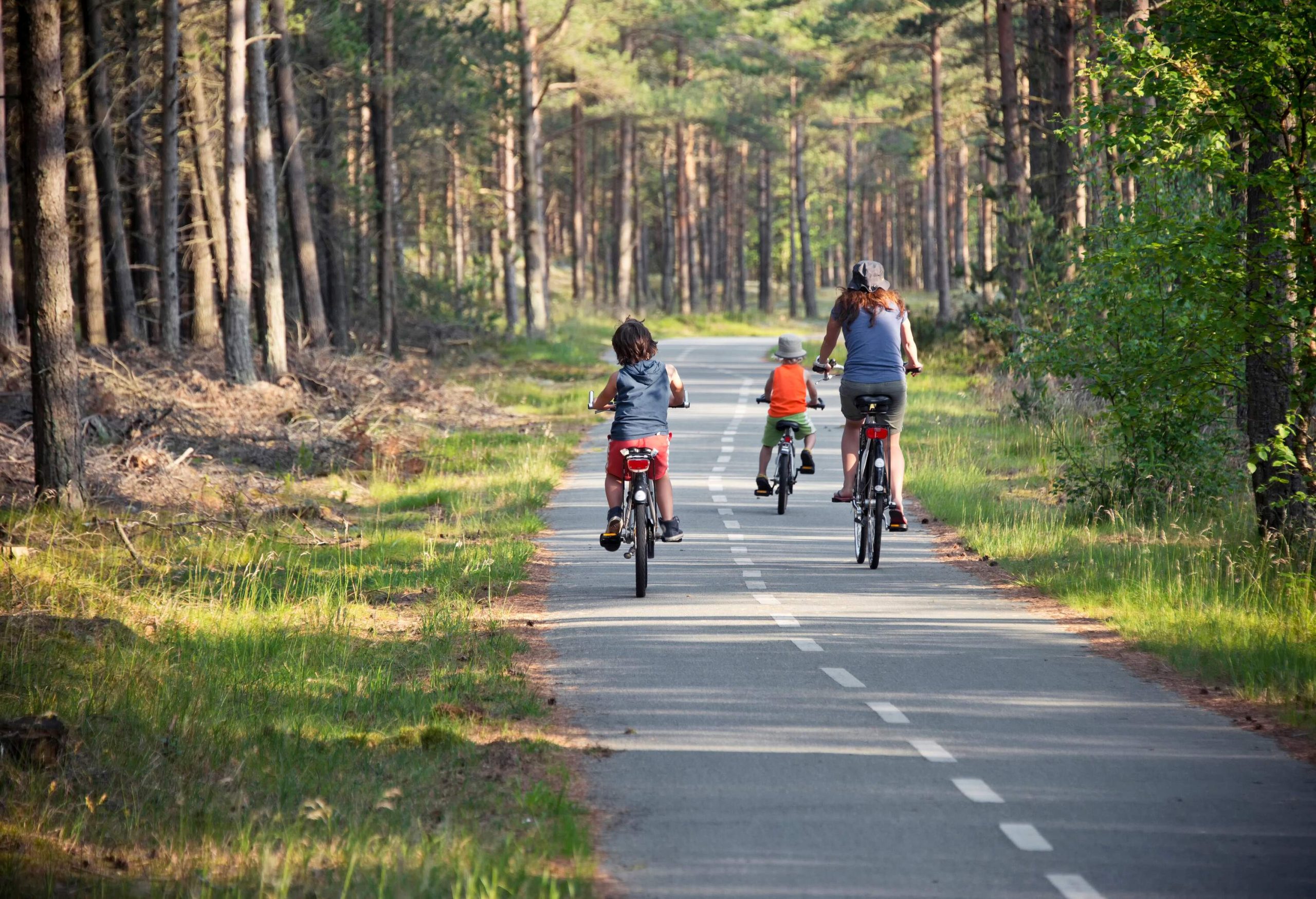 A woman and two kids riding their bikes on a narrow road through tall trees.