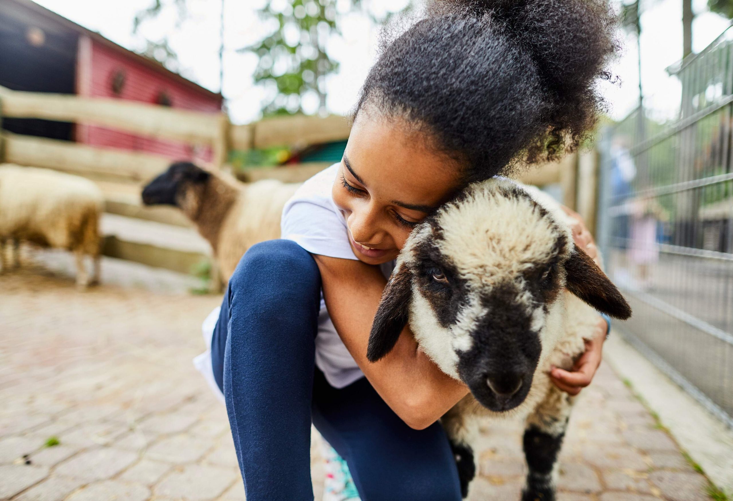 A happy young girl kneels to hug a sheep.
