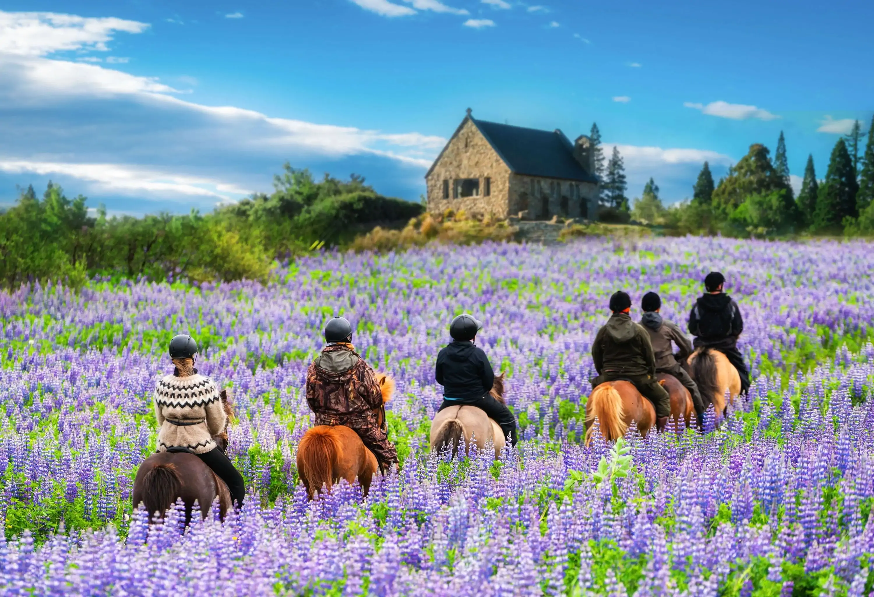A group of people riding horses through a field of purple flowers.