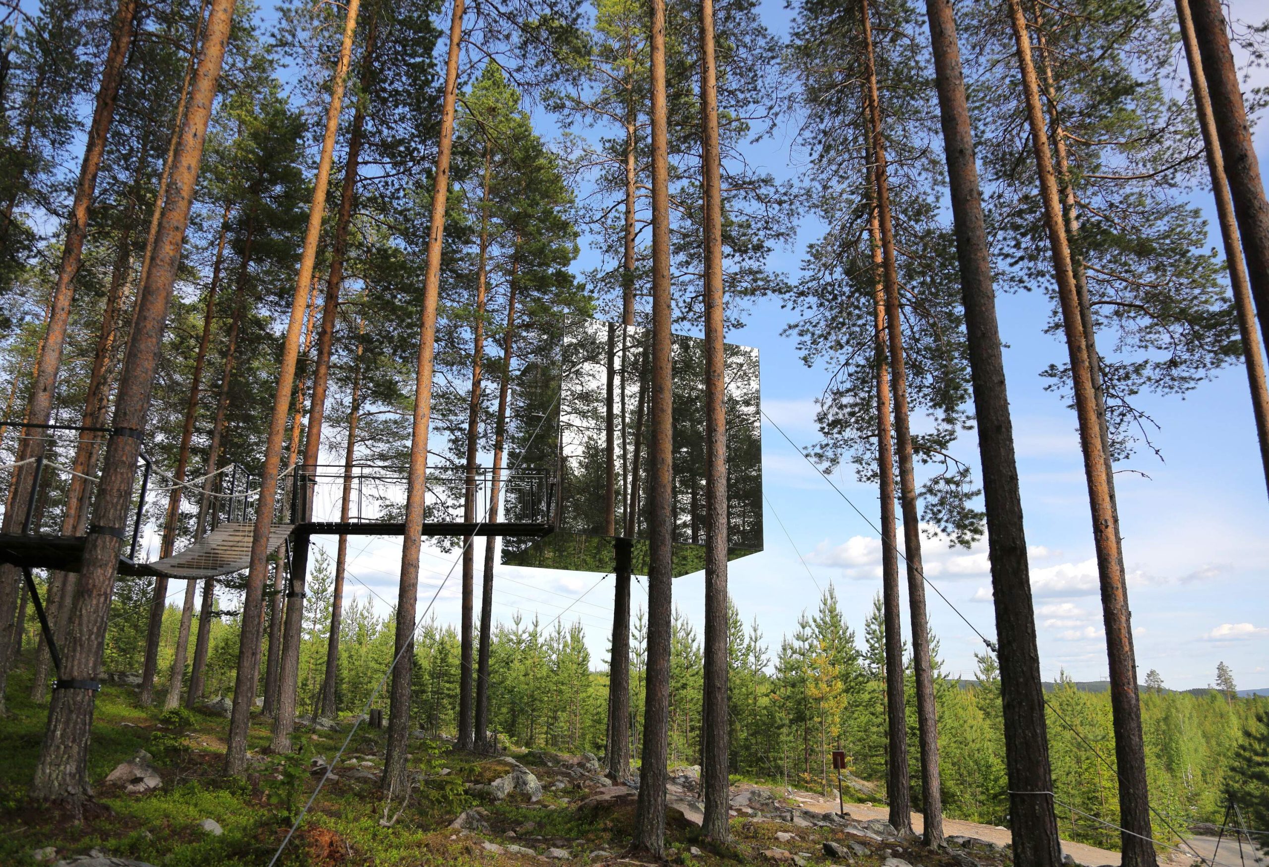 Glass tree house in swedish woods