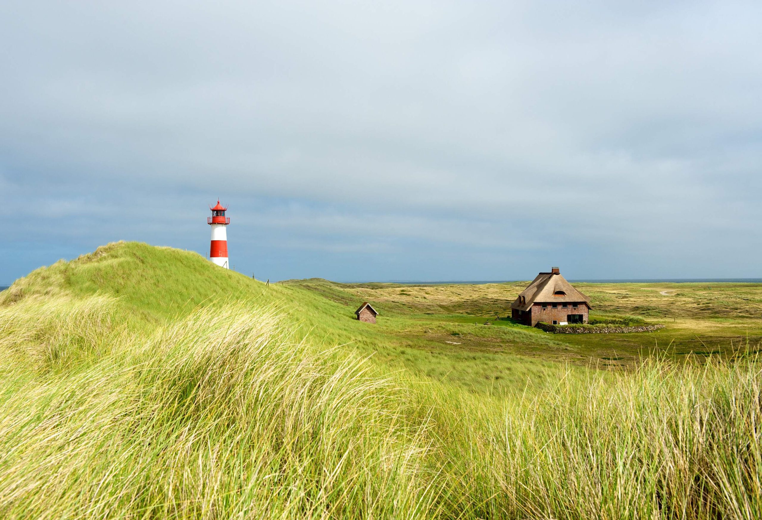 A grassy area with a solitary dwelling and a lighthouse.