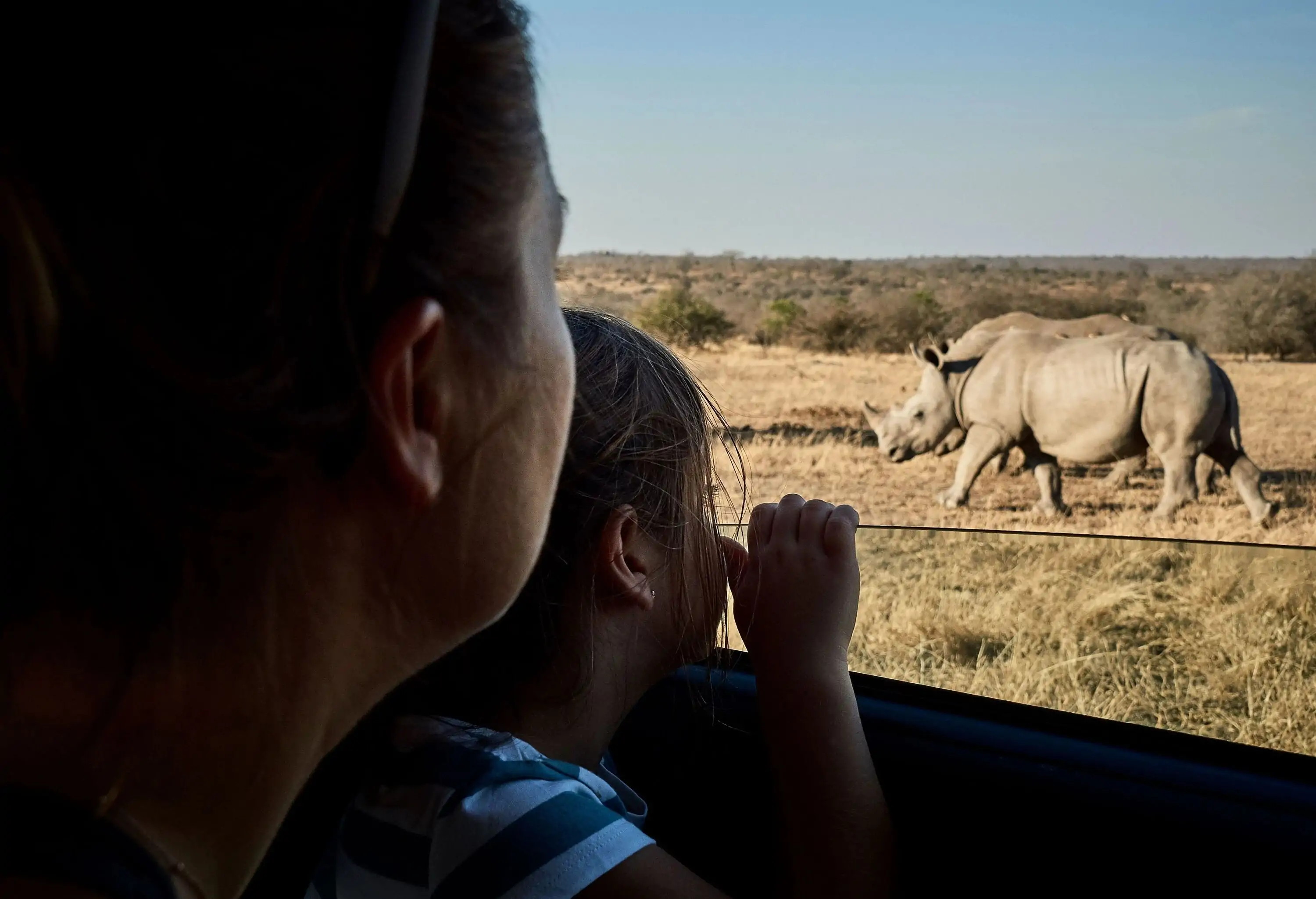A mother and daughter are watching the rhinos in the wild from their car window.