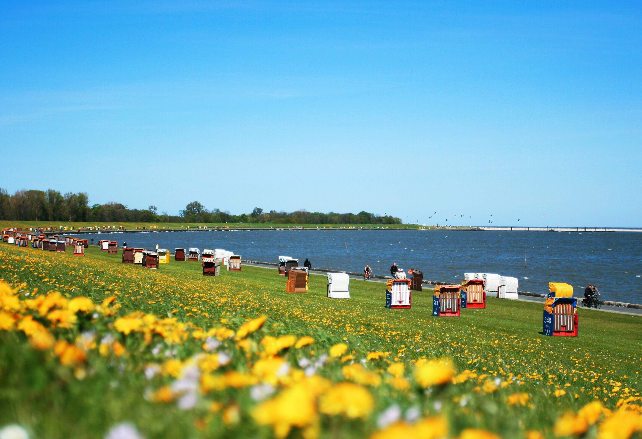 Colourful beach chairs scattered across lush meadows with yellow flowers by the sea.