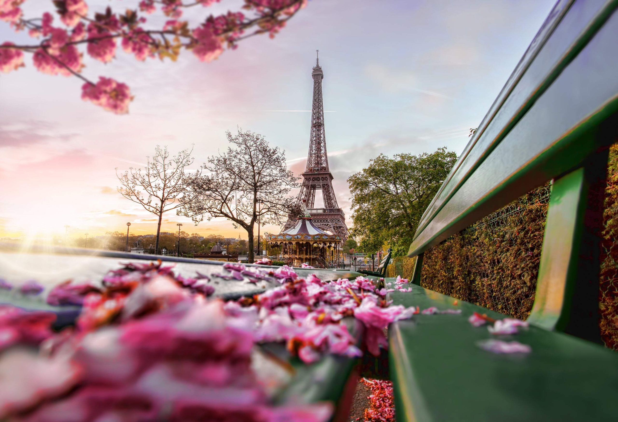 A view of the Eiffel Tower behind a Ferris wheel surrounded by trees in spring.