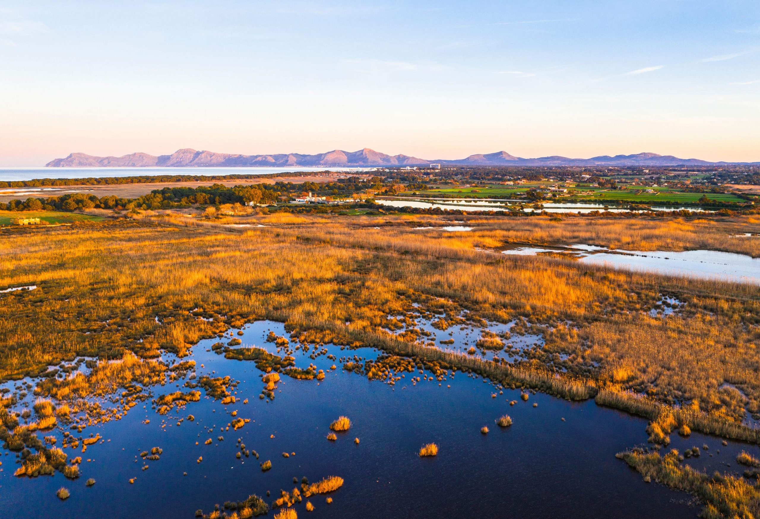 A marsh next to a dirt road, with a mountain in the distance, in a rural setting.