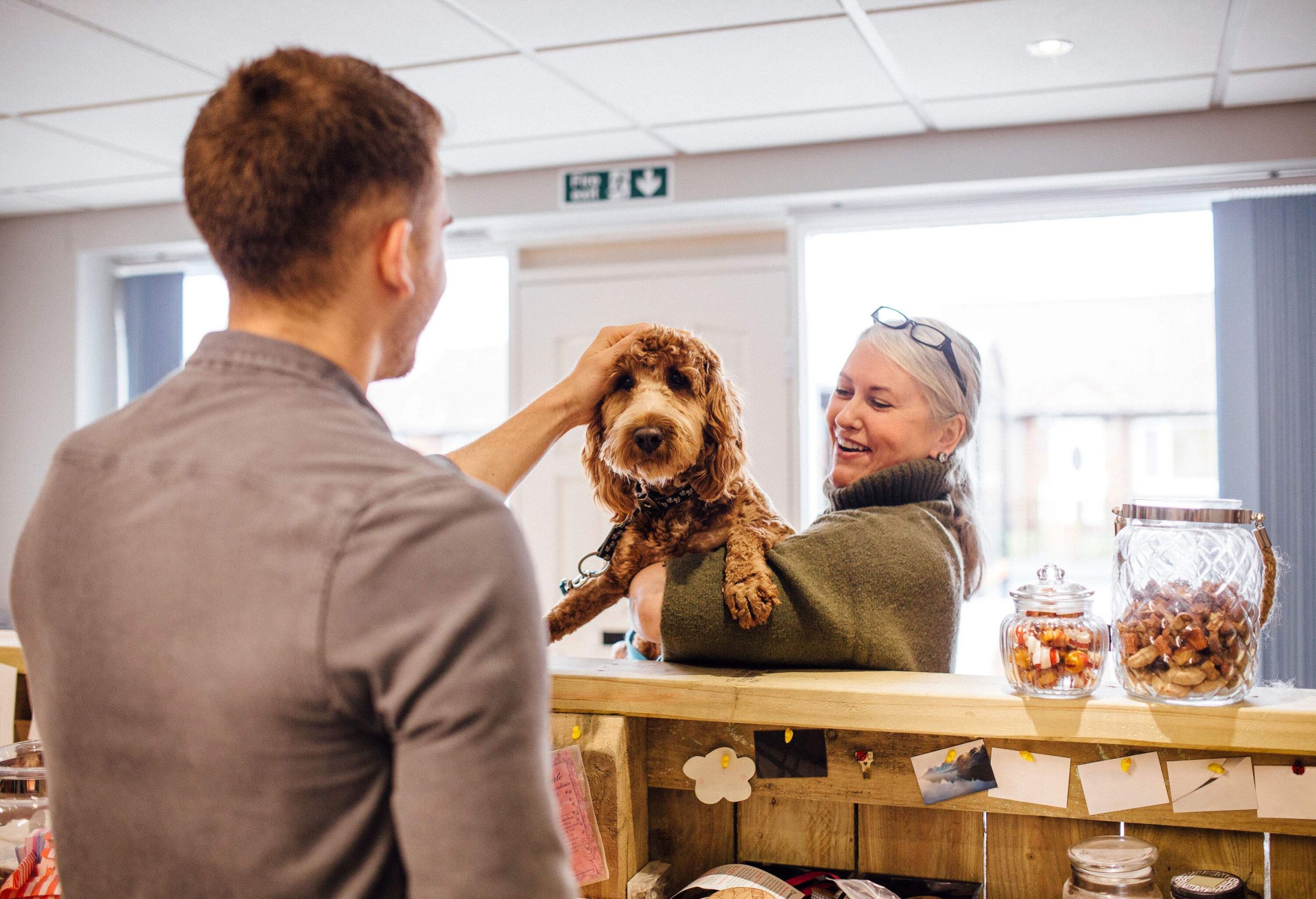 A woman holding a curly brown dog and a man petting it behind the counter.