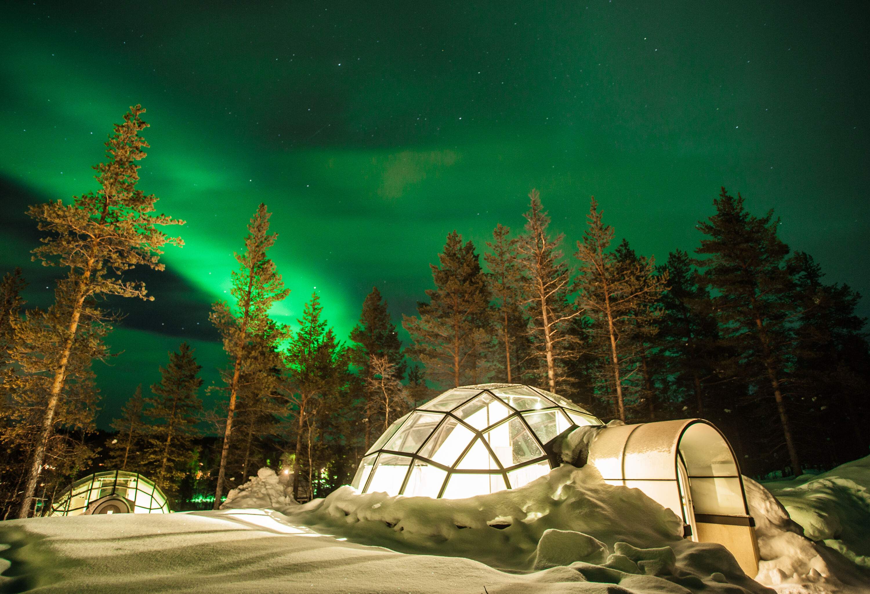 The vivid green Northern Lights painted the sky, casting an enchanting glow over a snowy landscape dotted with glass igloos and surrounded by majestic trees.