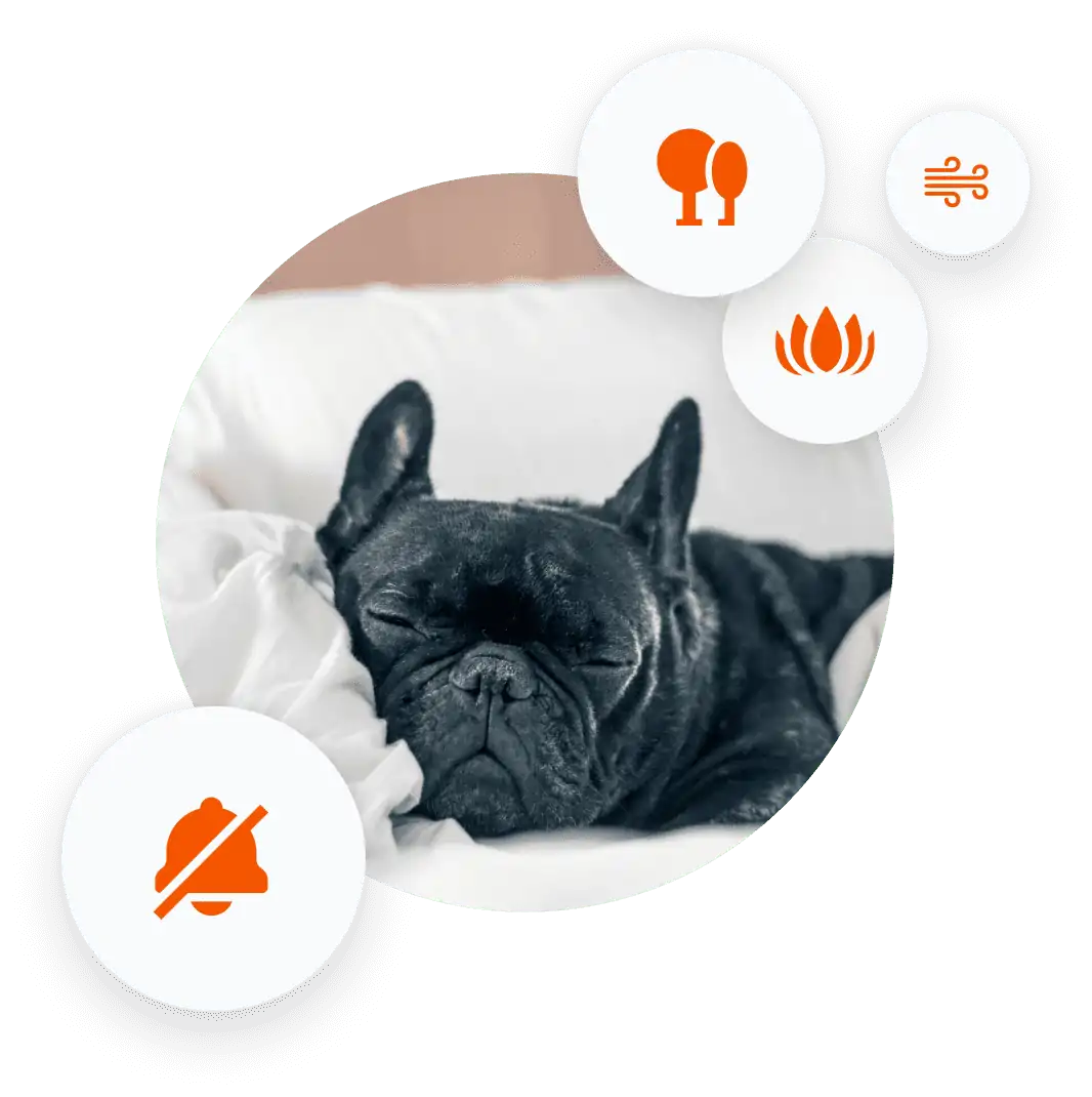 dog-image