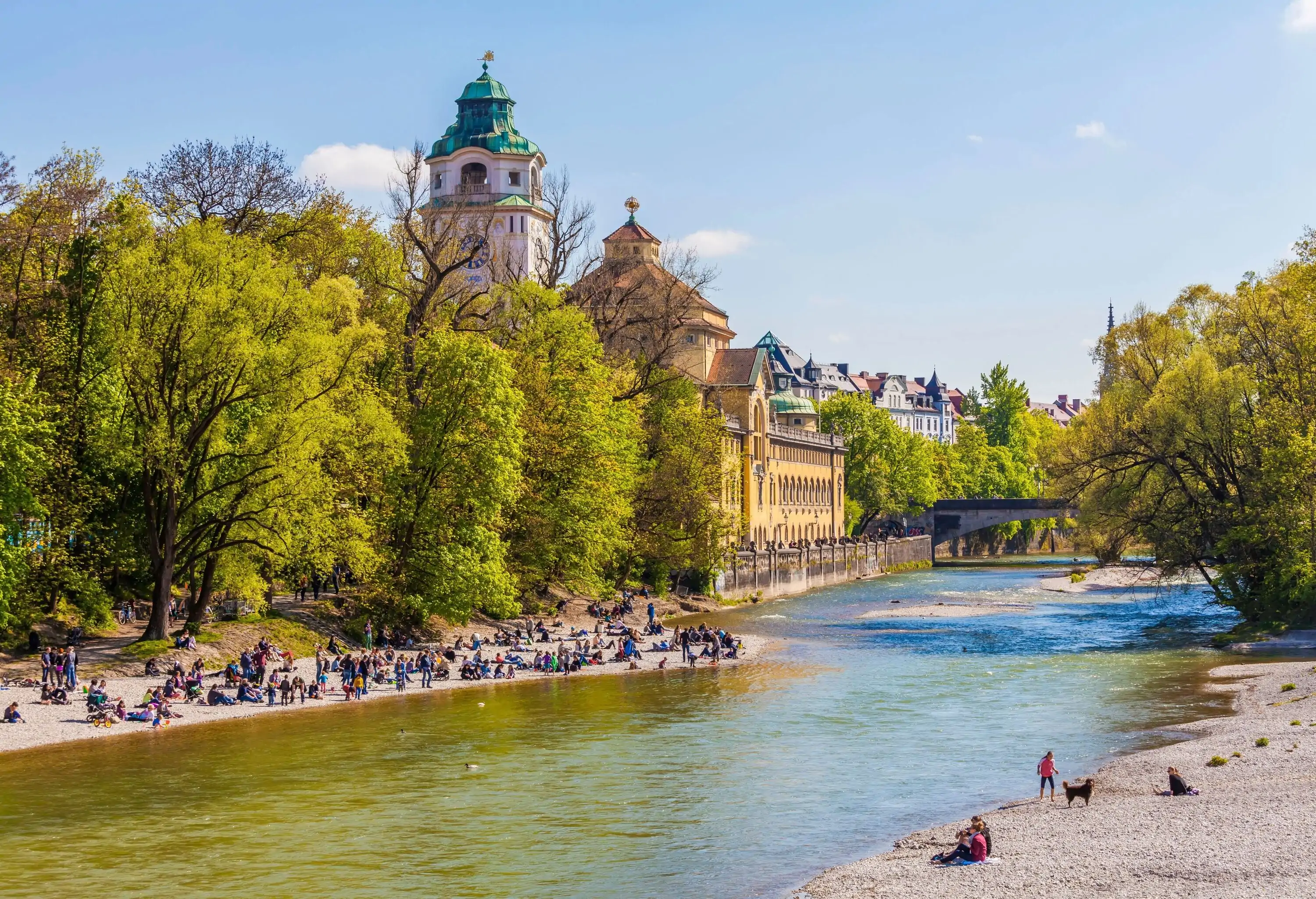 People and their dogs relaxing on the gravel banks of a river bordered by trees.