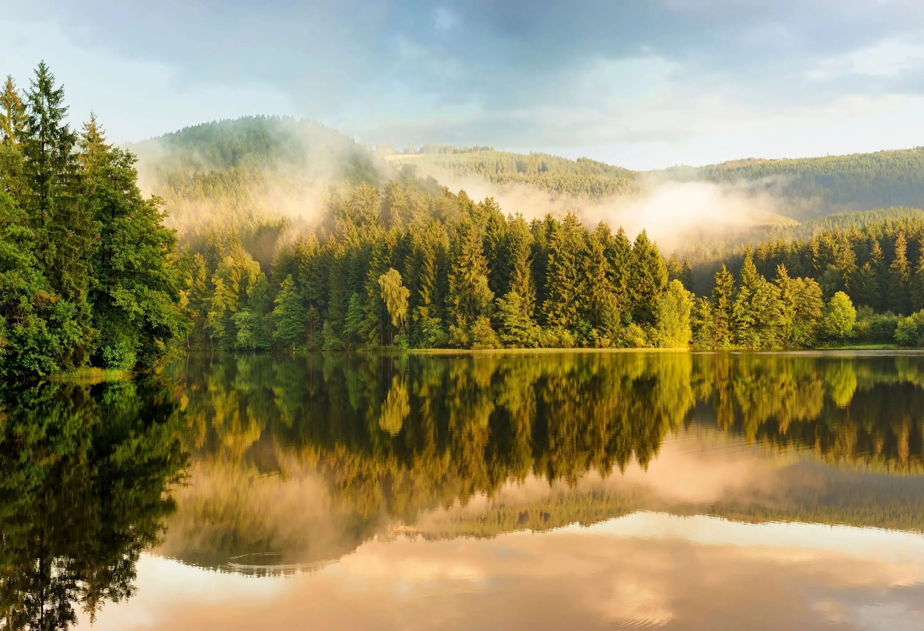 A landscape of foggy hills covered in lush forest reflects on the surface of a lake.