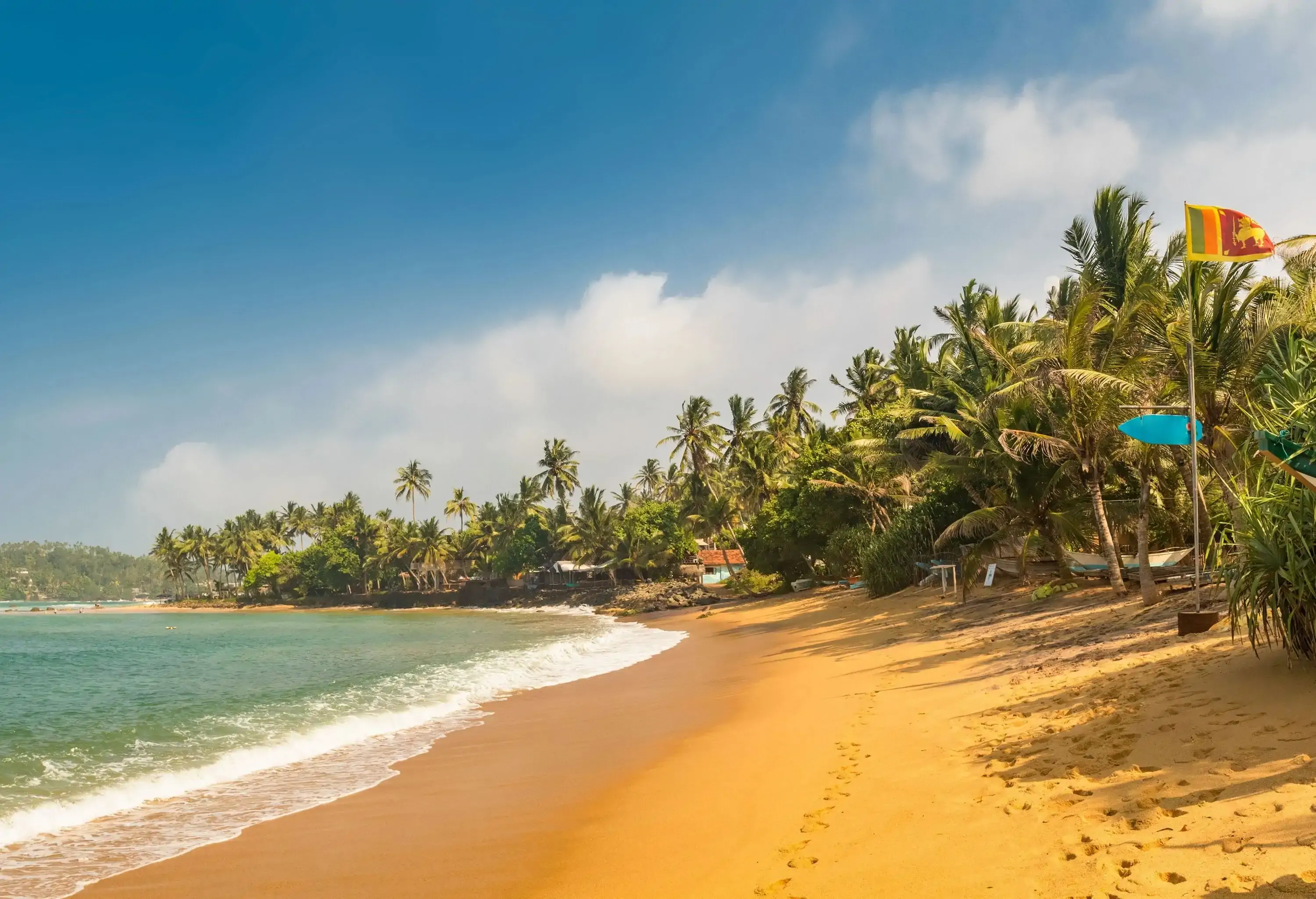 A beach with yellow sand next to a palm tree grove.