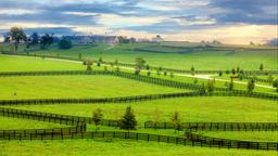 Ferienwohnungen in Kentucky