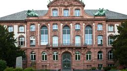 Hotels in Frankfurt am Main - in der Nähe von: Senckenberg Naturmuseum