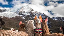 Cusco Hotelverzeichnis