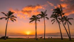 Finde günstige Flüge nach Honolulu