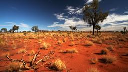 Hotels in der Nähe von: Yulara Ayers Rock Flughafen