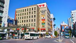 Hotels in Ichikawa