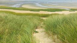 Finde günstige Flüge nach Cape Cod