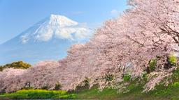 Hotels in der Nähe von: Flughafen Tokio Narita