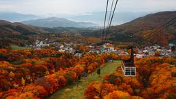 Hotels in Zao