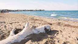 Hotels in Torre Canne