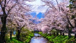 Ferienwohnungen in Präfektur Yamanashi