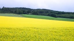 Mietwagen in Hyvinkää