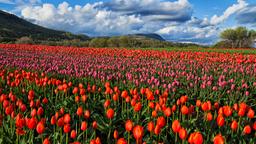 Hotels in Abbotsford