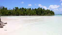 Hotels in Michamvi
