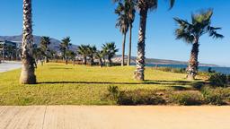Mietwagen in Nador