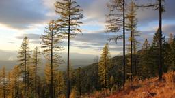 Hotels in Whitefish