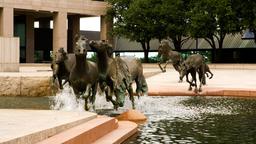 Hotels in Carrollton
