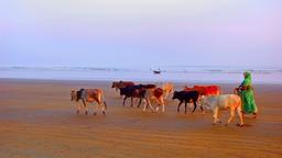 Hotels in Digha