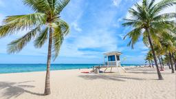 Finde günstige Flüge nach Florida