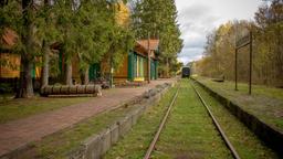 Hotels in Bialowieza